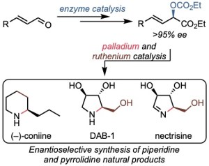 Untitled Tot_Syn_Style-1